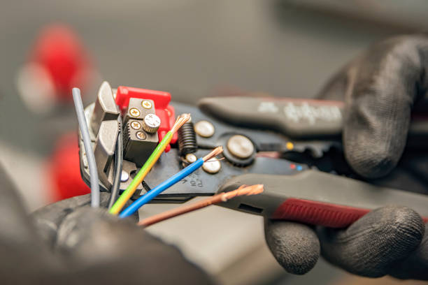 Best Electric Panel Repair  in Eureka, IL