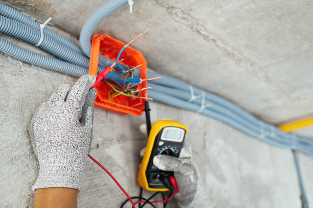 Best Electrician for Home Renovation  in Eureka, IL